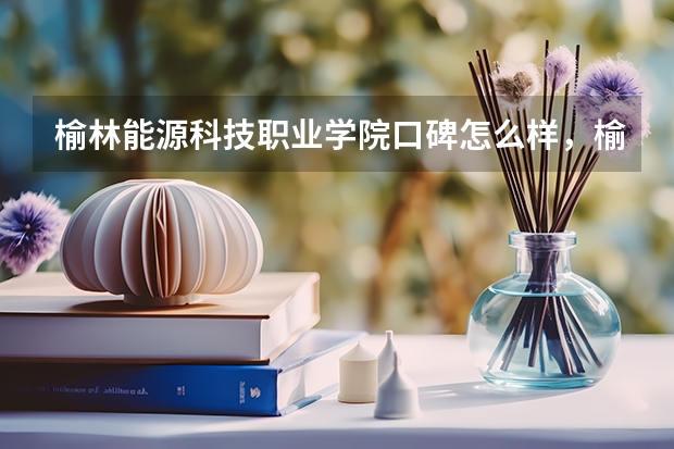 榆林能源科技职业学院口碑怎么样，榆林能源科技职业学院学校位置在哪