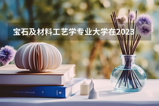 宝石及材料工艺学专业大学在2023年排名情况如何 宝石及材料工艺学专业排名前十的有哪些大学