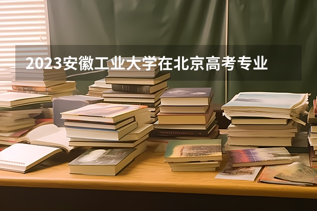 2023安徽工业大学在北京高考专业招生计划人数是多少