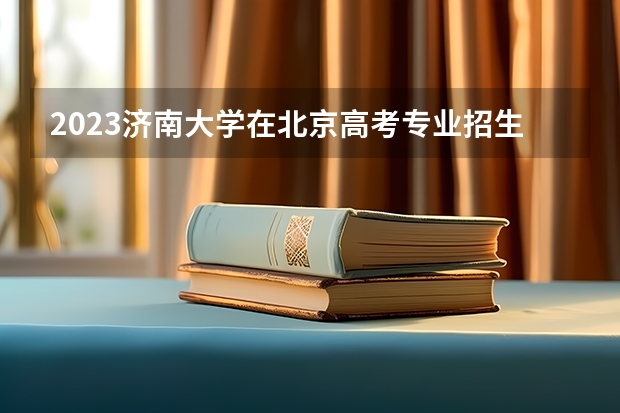 2023济南大学在北京高考专业招生计划人数是多少