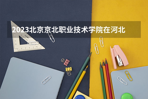 2023北京京北职业技术学院在河北高考专业招生计划人数是多少