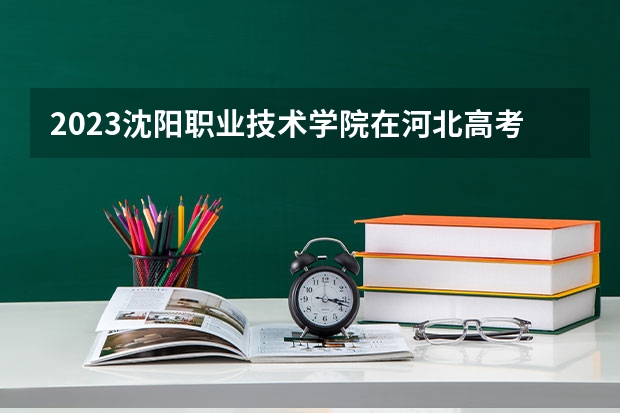 2023沈阳职业技术学院在河北高考专业招生计划人数是多少