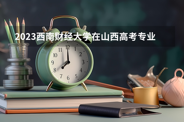 2023西南财经大学在山西高考专业招生计划人数是多少