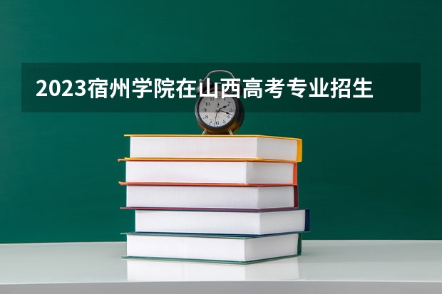 2023宿州学院在山西高考专业招生计划人数是多少