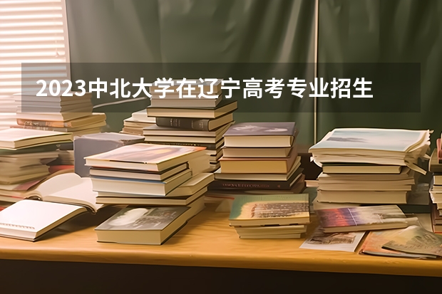 2023中北大学在辽宁高考专业招生计划人数是多少