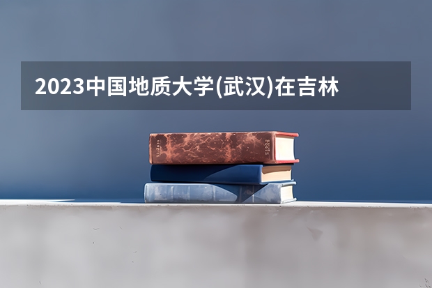 2023中国地质大学(武汉)在吉林高考专业招生计划人数是多少