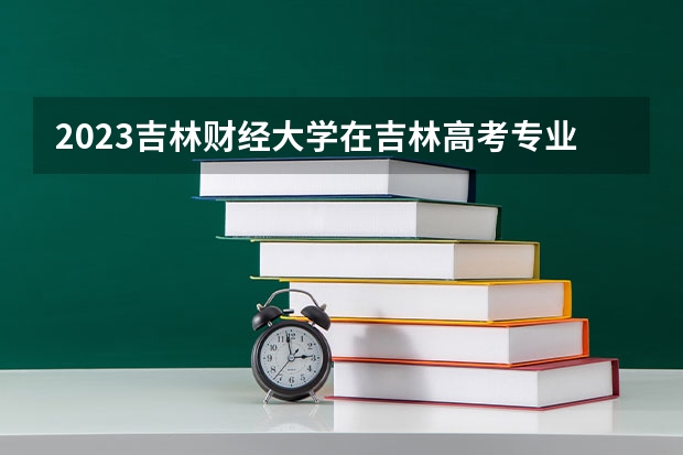 2023吉林财经大学在吉林高考专业招生计划人数是多少