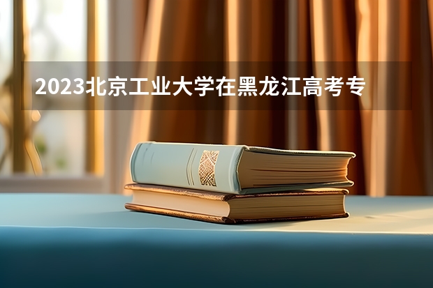 2023北京工业大学在黑龙江高考专业招生计划人数是多少