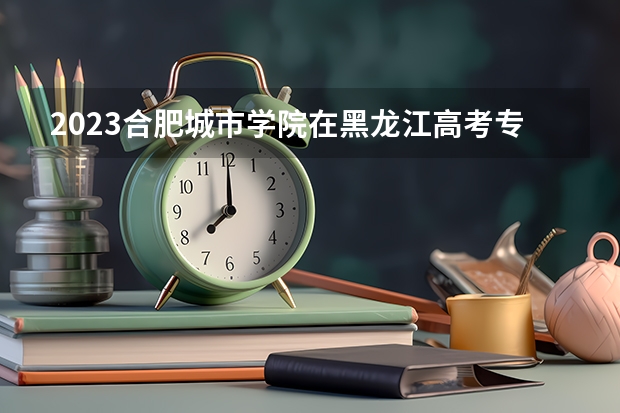 2023合肥城市学院在黑龙江高考专业招生计划人数是多少