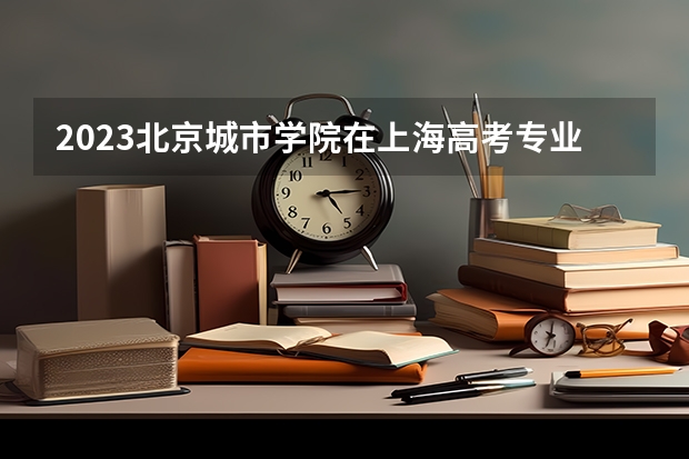 2023北京城市学院在上海高考专业招生计划人数是多少