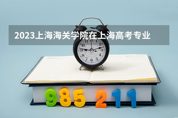 2023上海海关学院在上海高考专业招生计划人数是多少