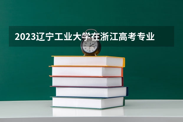 2023辽宁工业大学在浙江高考专业招生计划人数是多少