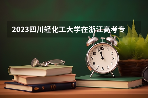 2023四川轻化工大学在浙江高考专业招生计划人数是多少