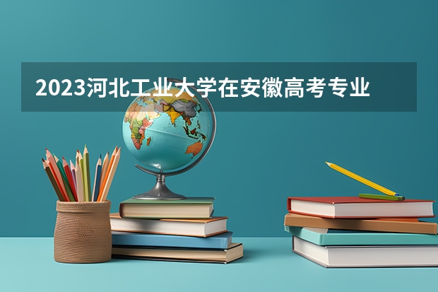 2023河北工业大学在安徽高考专业招生计划人数是多少