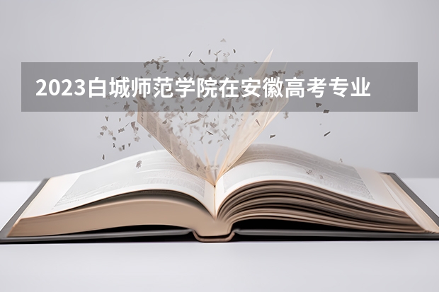 2023白城师范学院在安徽高考专业招生计划人数是多少