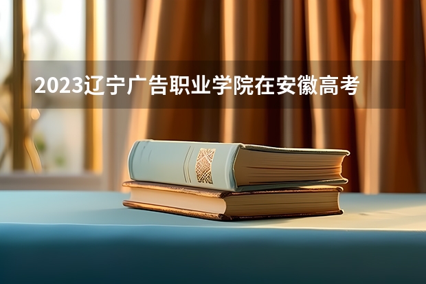 2023辽宁广告职业学院在安徽高考专业招生计划人数是多少