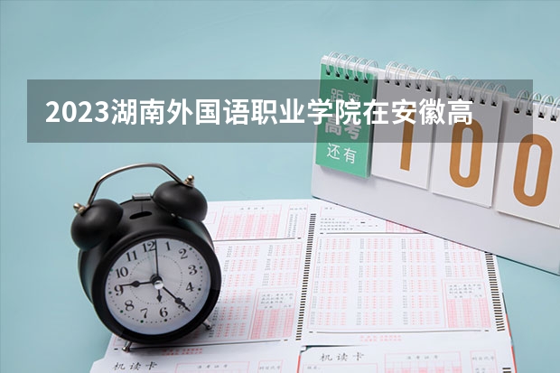 2023湖南外国语职业学院在安徽高考专业招生计划人数是多少