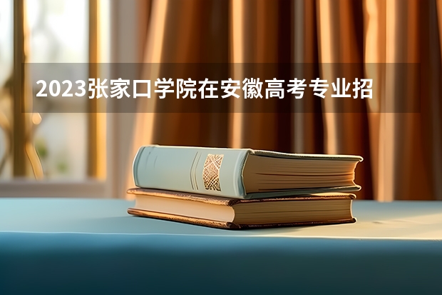 2023张家口学院在安徽高考专业招生计划人数是多少