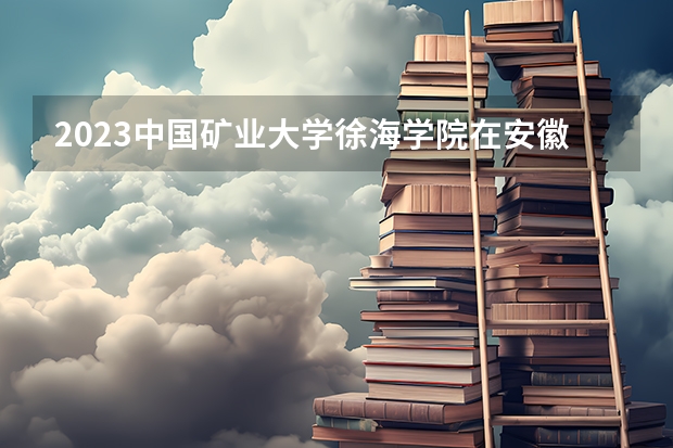 2023中国矿业大学徐海学院在安徽高考专业招生计划人数是多少