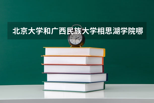 北京大学和广西民族大学相思湖学院哪家学校录取分数低