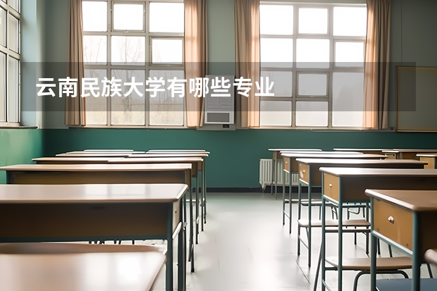 云南民族大学有哪些专业