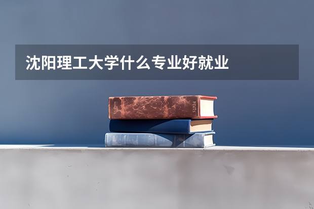 沈阳理工大学什么专业好就业