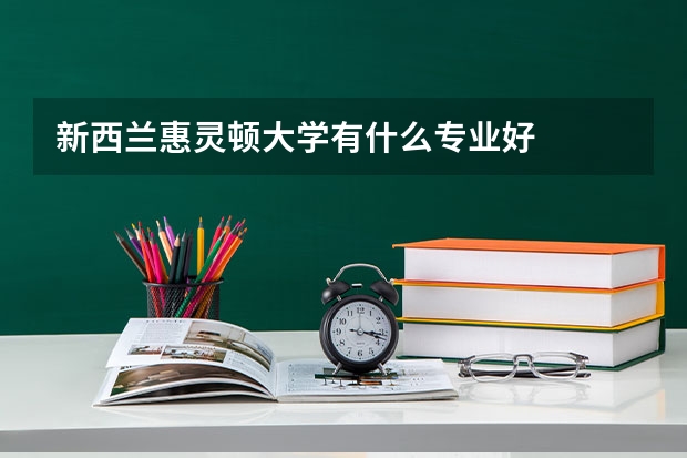 新西兰惠灵顿大学有什么专业好