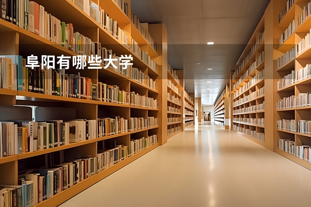 阜阳有哪些大学