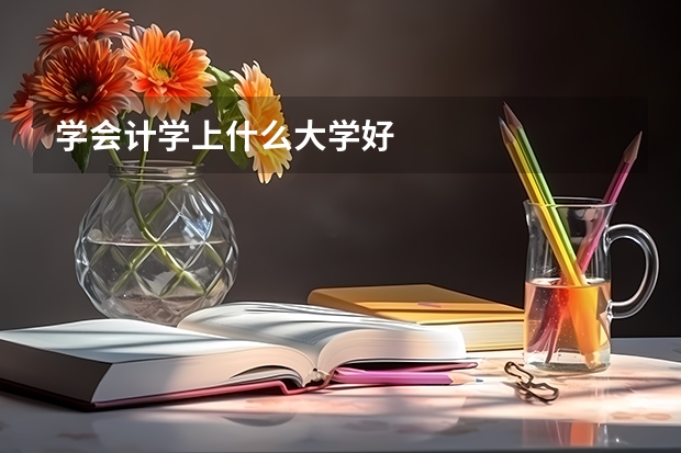 学会计学上什么大学好