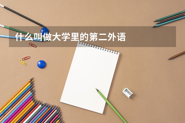 什么叫做大学里的第二外语