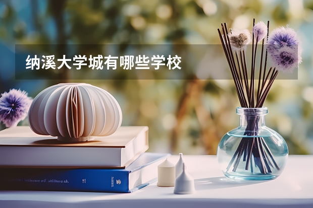 纳溪大学城有哪些学校