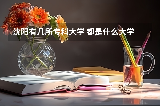 沈阳有几所专科大学 都是什么大学