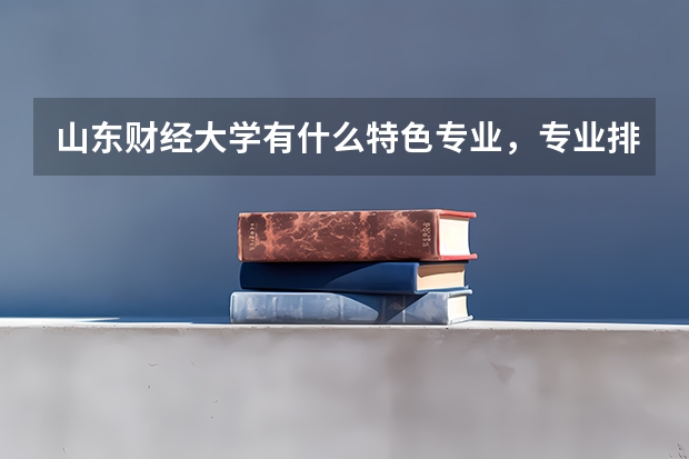 山东财经大学有什么特色专业，专业排名如何