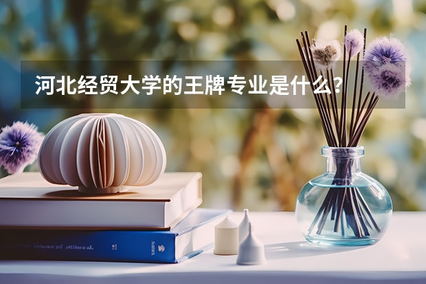 河北经贸大学的王牌专业是什么？