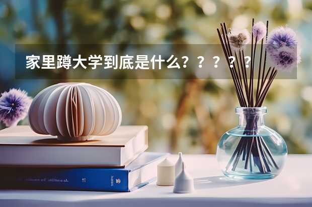 家里蹲大学到底是什么？？？？？