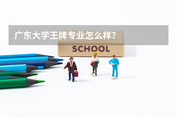 广东大学王牌专业怎么样？