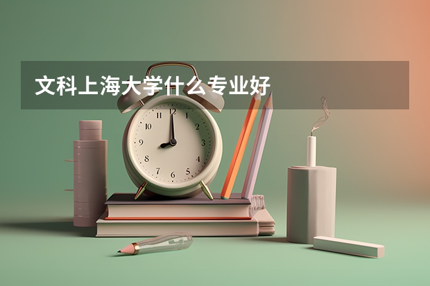 文科上海大学什么专业好