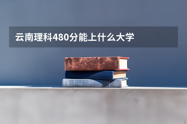 云南理科480分能上什么大学