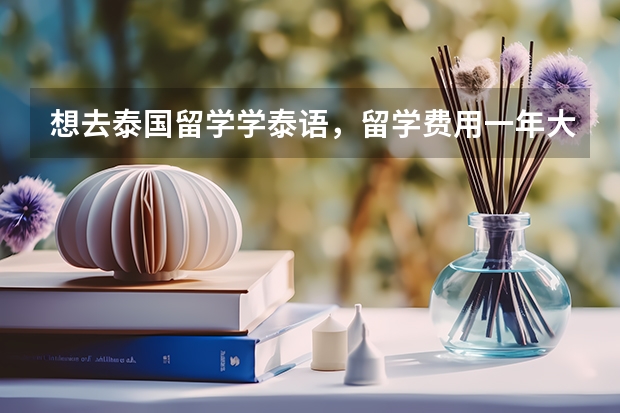 想去泰国留学学泰语，留学费用一年大概要多少，有哪些大学比较好