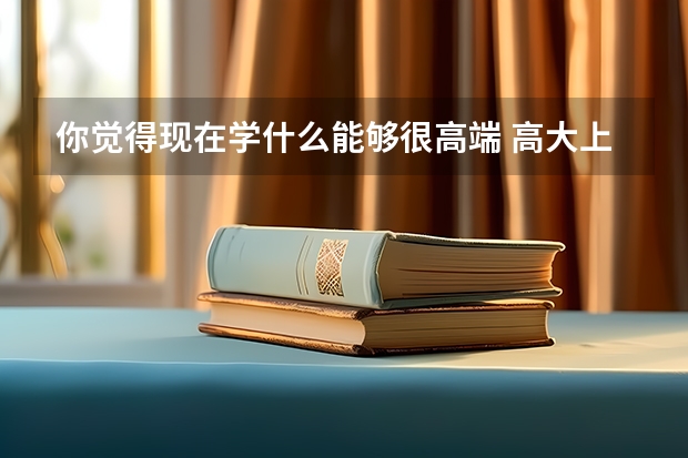 你觉得现在学什么能够很高端 高大上 冷门 特赚钱？