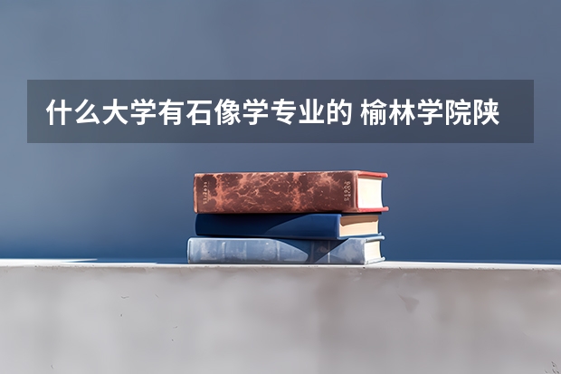 什么大学有石像学专业的 榆林学院陕北历史文化