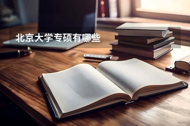 北京大学专硕有哪些