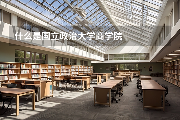 什么是国立政治大学商学院