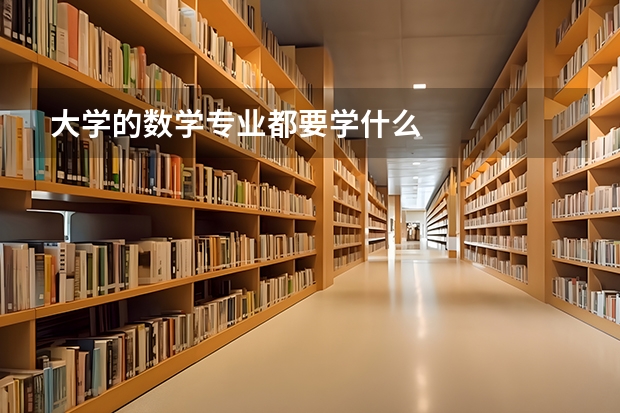 大学的数学专业都要学什么