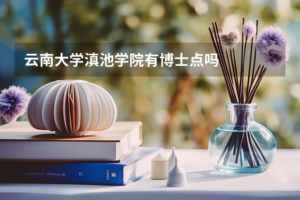 云南大学滇池学院有博士点吗